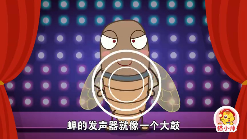 猫小帅十万个为什么 3集