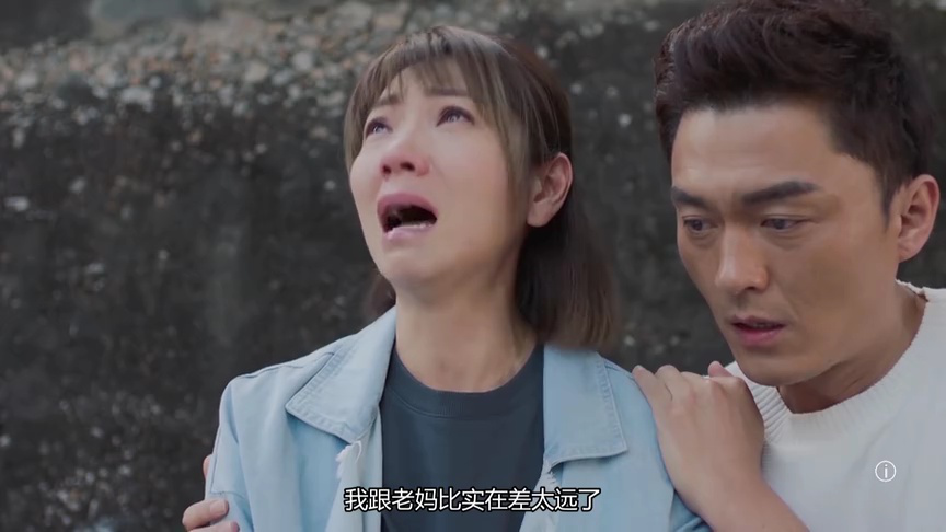 我家无难事[普通话版] 20集