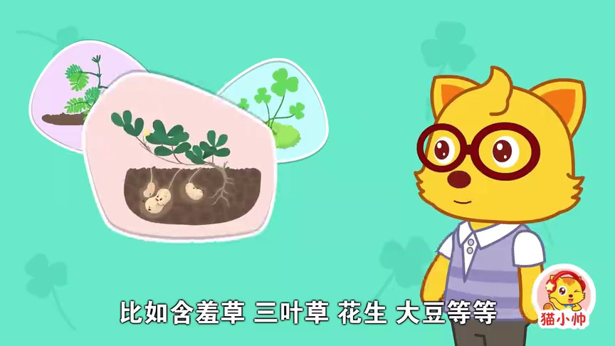 猫小帅十万个为什么 4集