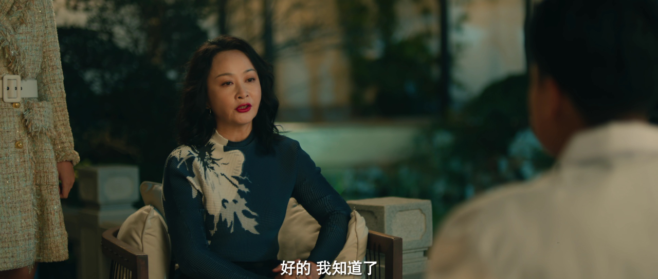 丽人归来 2集