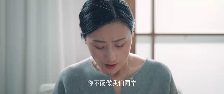 双面繁花 23集