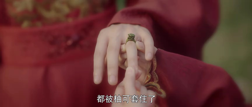 误入君梦 24集