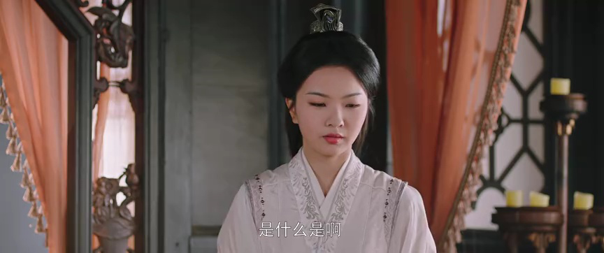 贤婿 19集