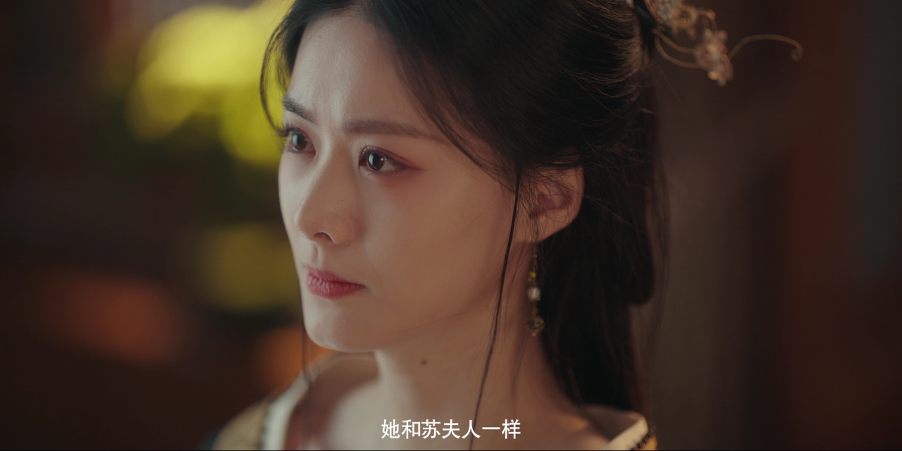婢女 23集